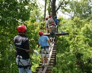 Jungle zip line