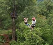 Jungle zip line